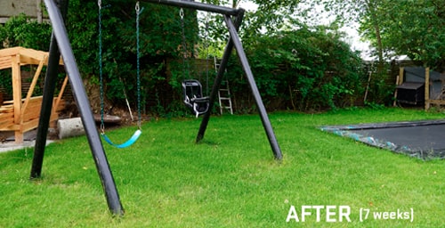 HybridLawn-Before-After-Swing-set